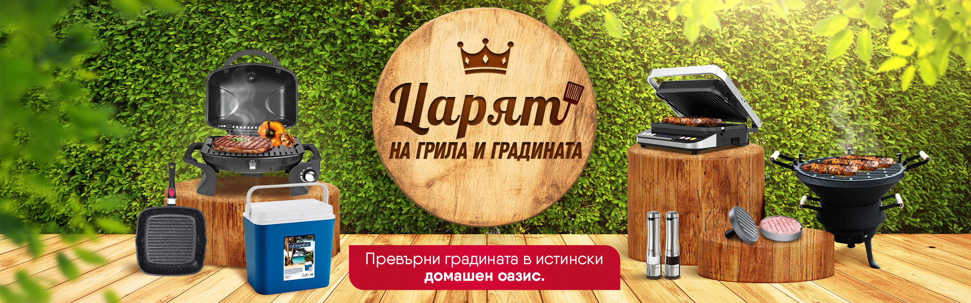 alleop razprodajba